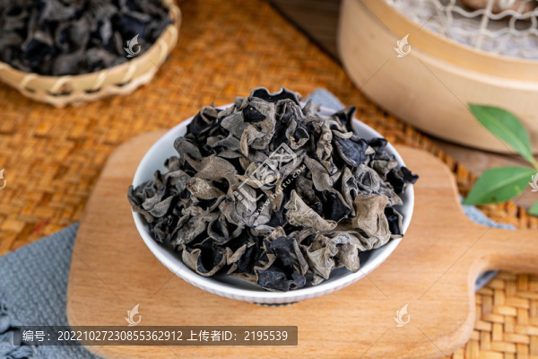 木耳