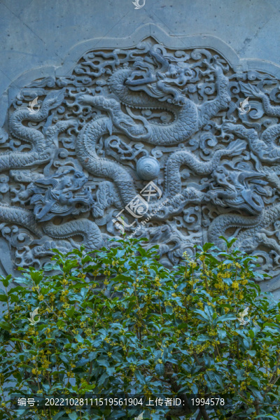磚雕龍桂花