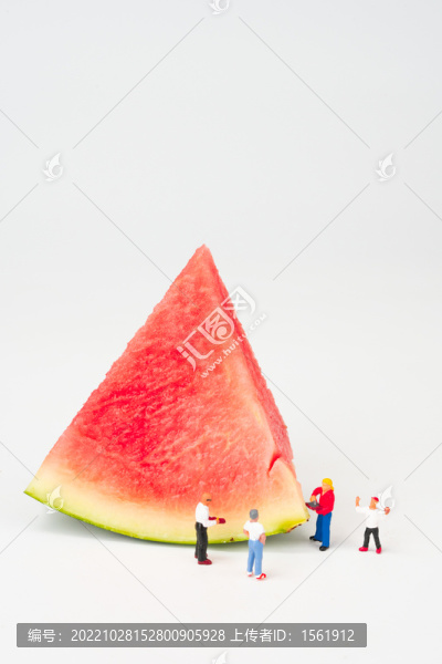 西瓜微距人