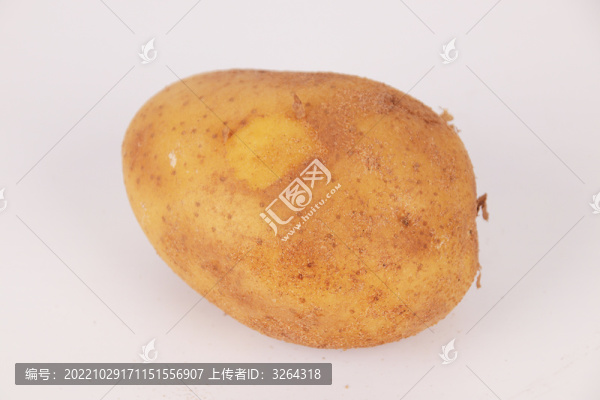 土豆