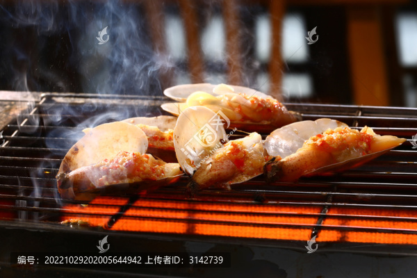 烤小象蚌