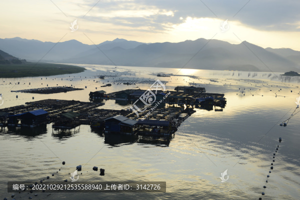霞浦灘涂漁排