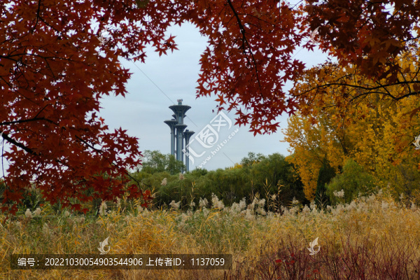 奧森公園的秋天