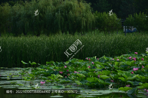 長春南溪濕地公園