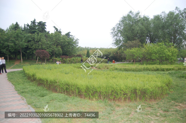 公園一角