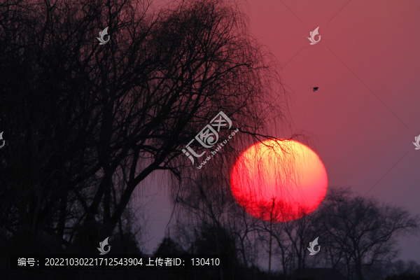 夕陽(yáng)