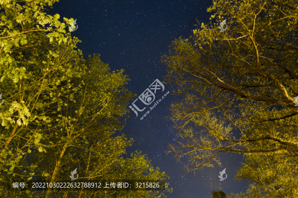 秋天樹(shù)林星空