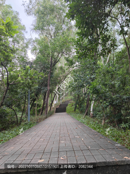 林間磚石小道