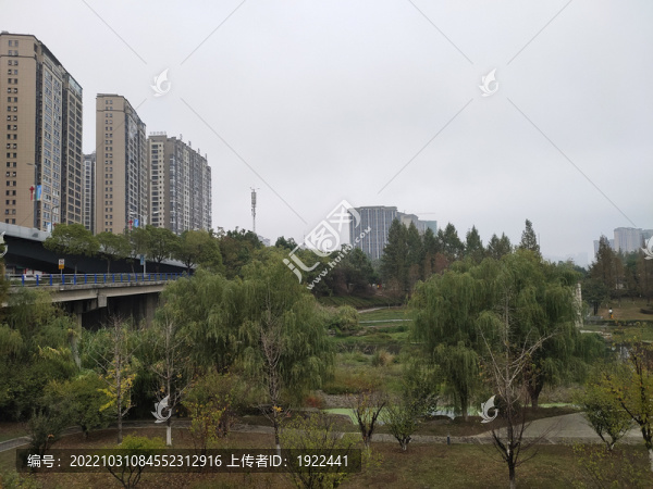 公園綠植