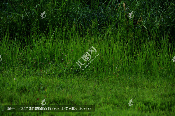 南溪濕地公園