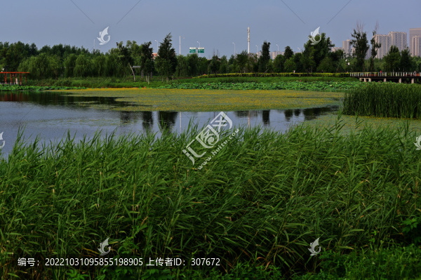 南溪濕地公園