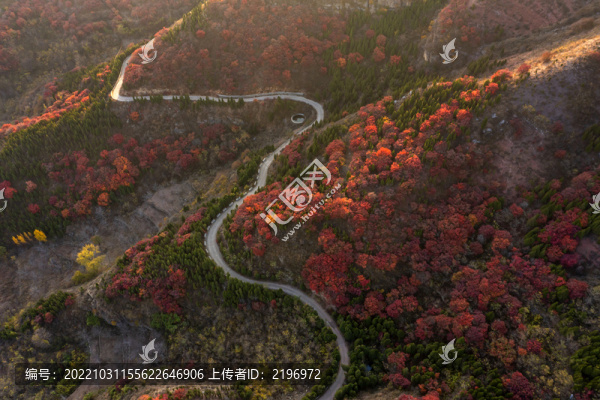 美麗的山嶺秋色