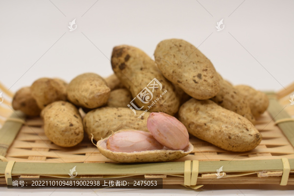 新鮮花生