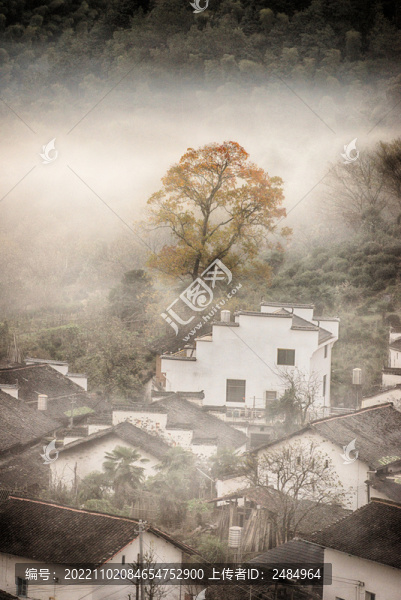 婺源風(fēng)光
