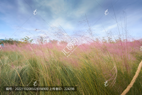 唯美粉黛
