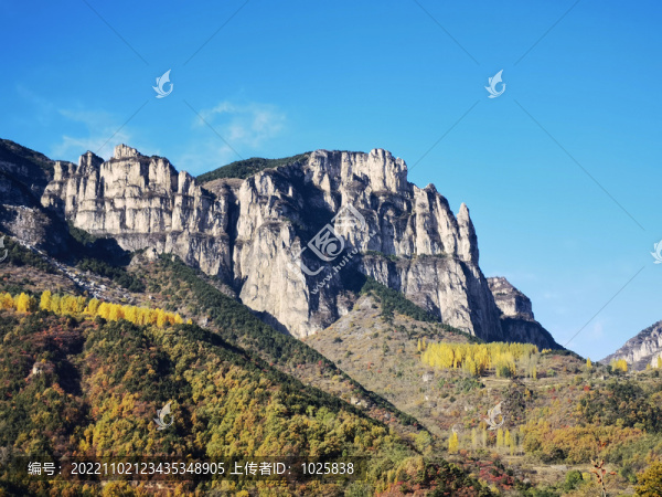 山