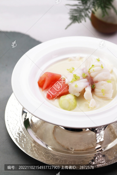 翅湯東星斑