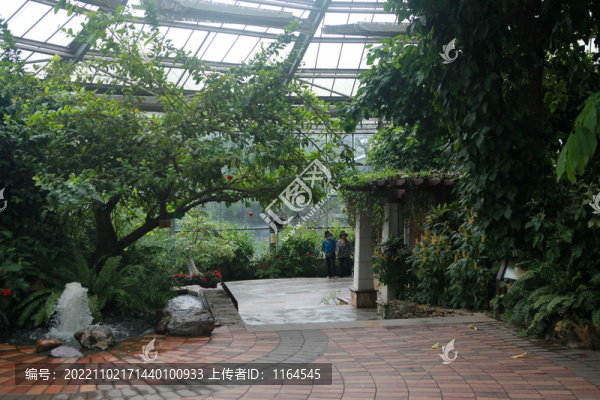 熱帶雨林風(fēng)光