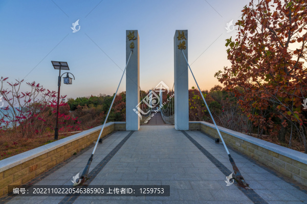 秋天紅葉