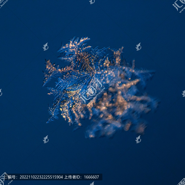 雪花
