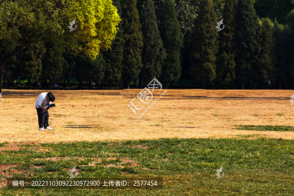 泰豐公園秋韻