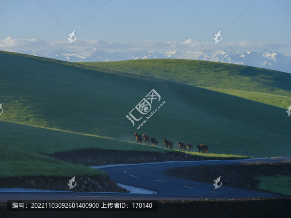 奔跑的馬群