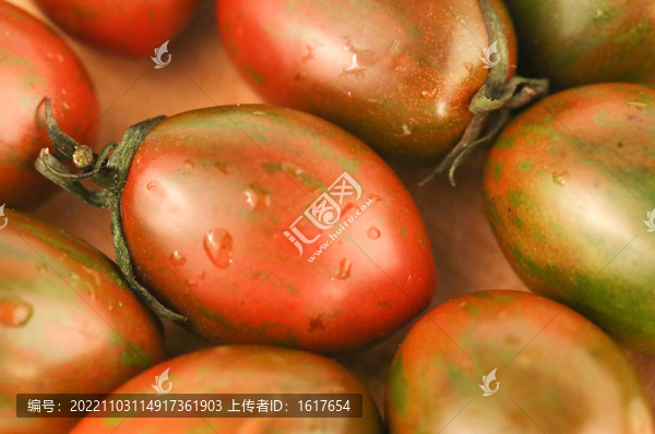 迷彩小番茄