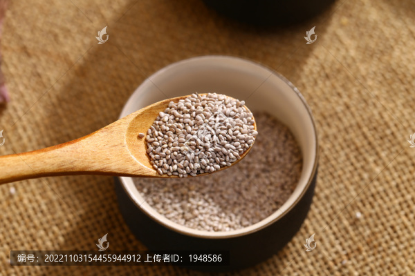 鼠尾草籽