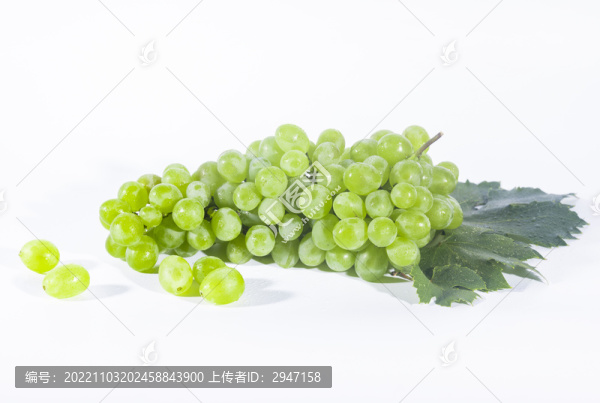 新鮮水果青提