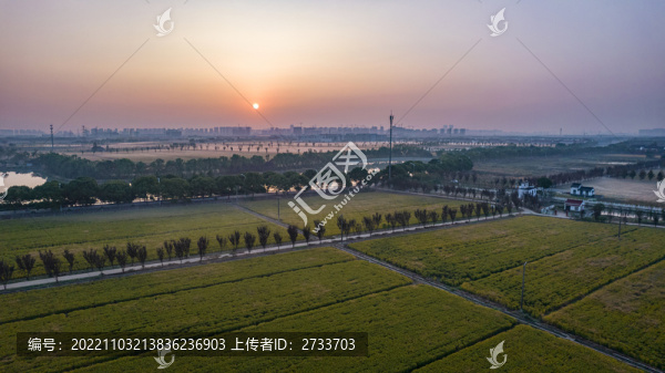 晨霧中的江南農(nóng)村
