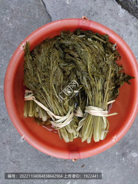 水酸菜