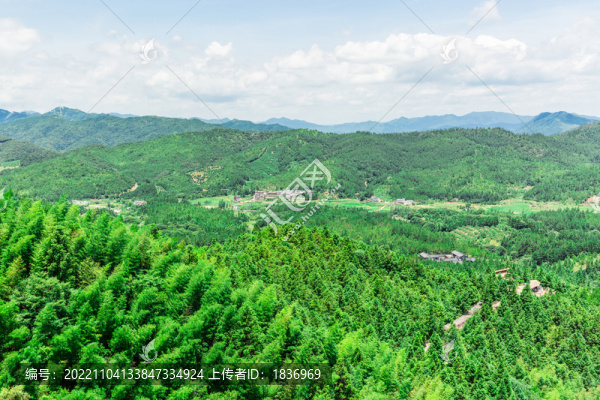 山