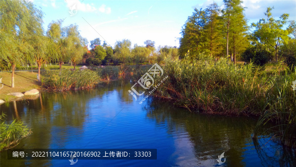 池塘風(fēng)景