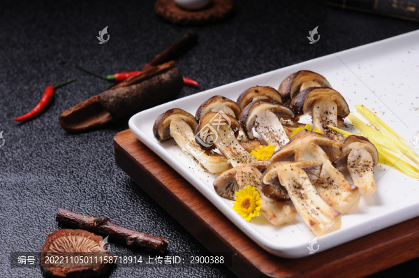 鮮松茸
