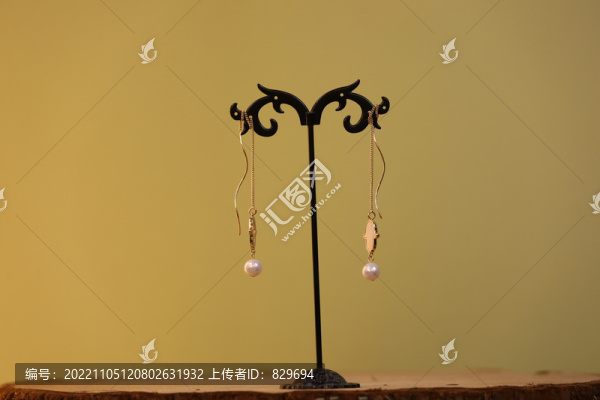 耳環(huán)