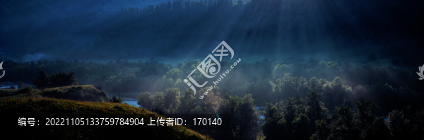 高清寬幅林中光影
