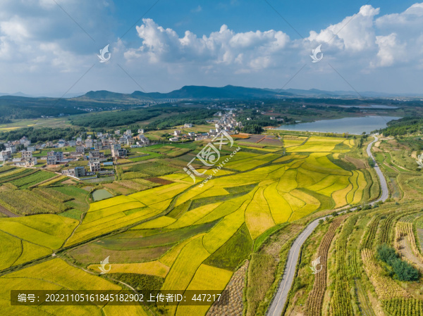 珠江流域濕地