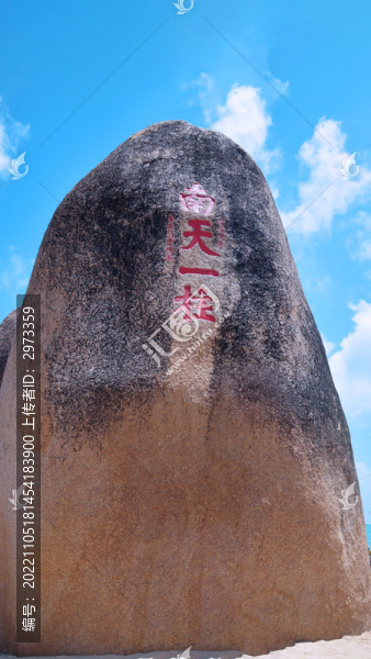 南天一柱