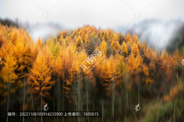 巴中光霧山紅葉