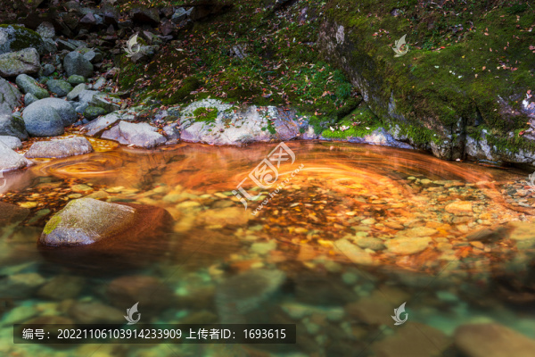 巴中光霧山紅葉