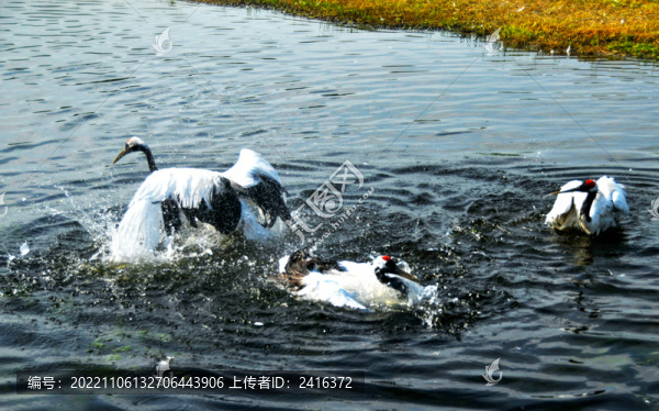 貴妃出浴