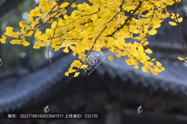 靈巖寺秋色