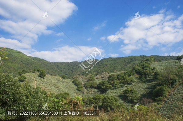 丘陵山地叢林風(fēng)景