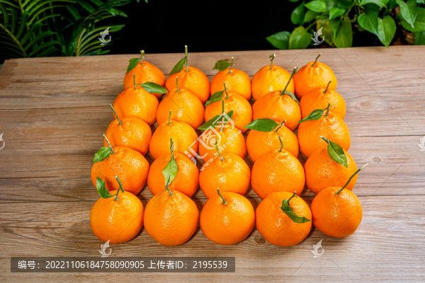 粑粑柑