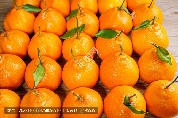 新鮮草莓