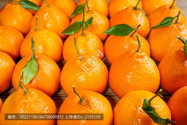 粑粑柑
