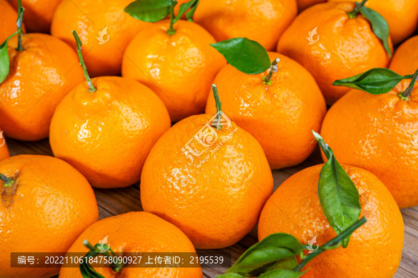 粑粑柑