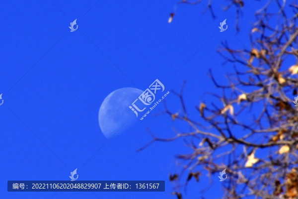 月球