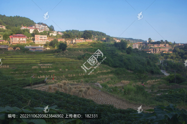 觀山村田園家園