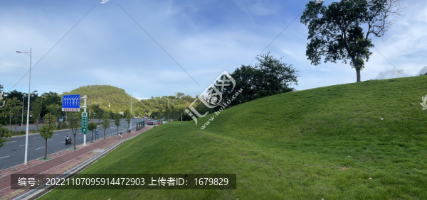 都市綠草坪